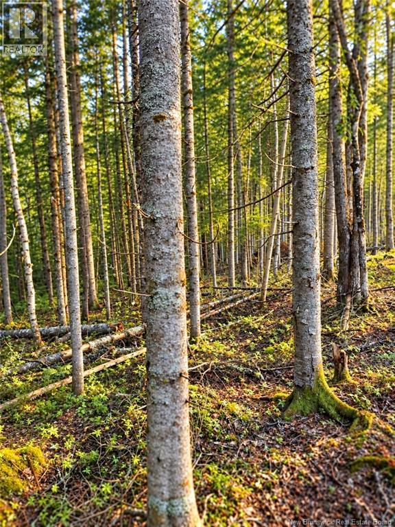 Lot 26-03 Bateman Mill Road, Saint-Philippe, New Brunswick  E1H 1T3 - Photo 5 - NB150325