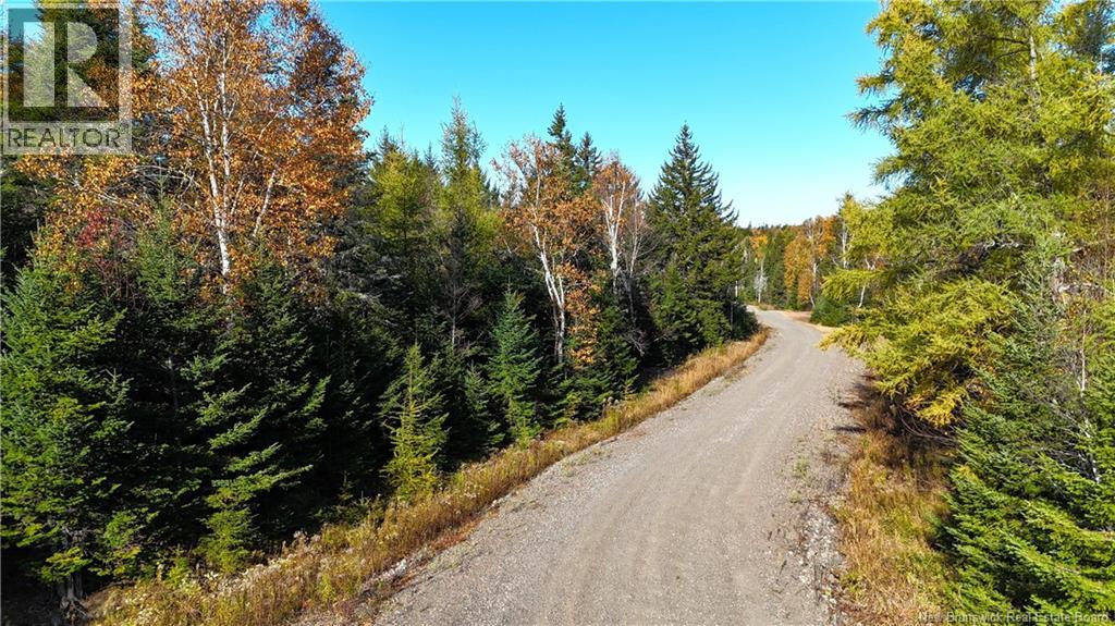 Lot 2020-1 Osprey Lane, St George, New Brunswick  E5C 0A7 - Photo 21 - NB150307