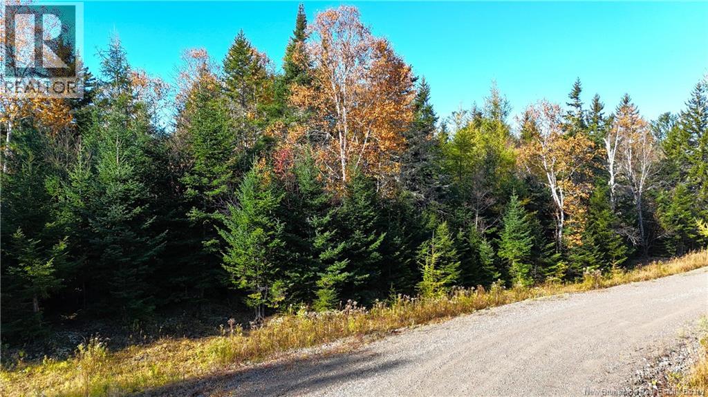 Lot 2020-1 Osprey Lane, St George, New Brunswick  E5C 0A7 - Photo 22 - NB150307