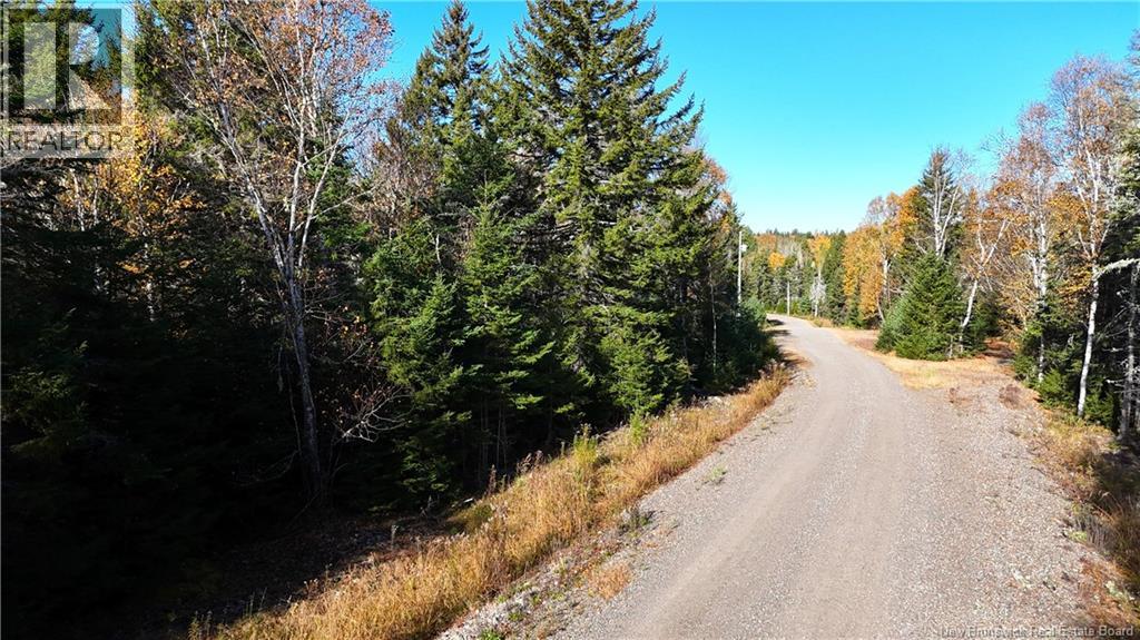 Lot 2020-1 Osprey Lane, St George, New Brunswick  E5C 0A7 - Photo 23 - NB150307