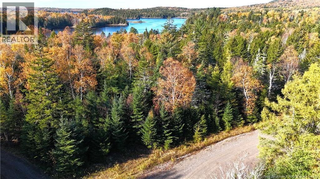 Lot 2020-1 Osprey Lane, St George, New Brunswick  E5C 0A7 - Photo 25 - NB150307