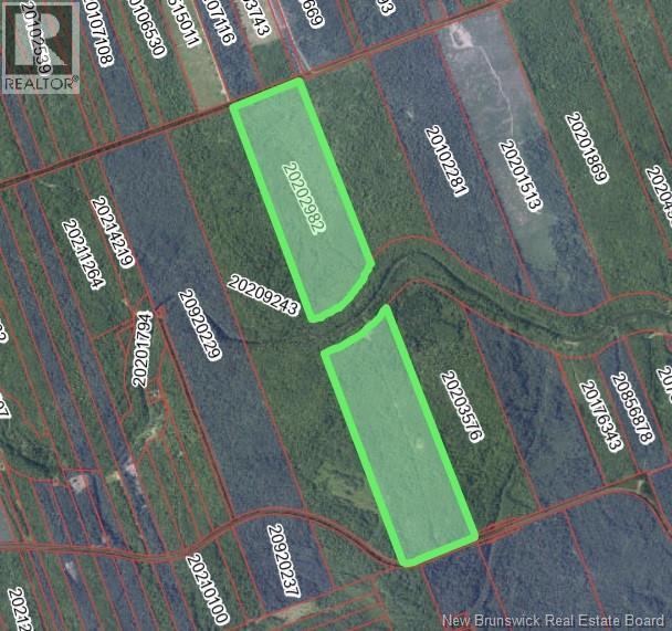 101 Acres Route 355, Bois-Blanc, New Brunswick  E8R 2E1 - Photo 1 - NB150252