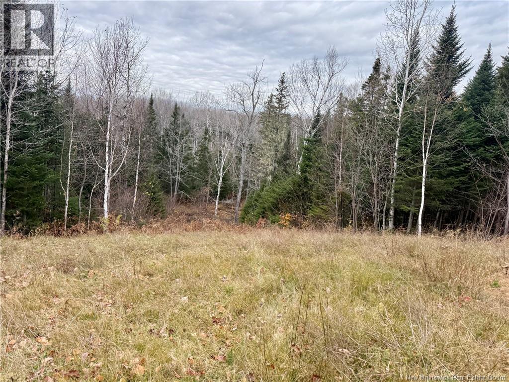 101 Acres Route 355, Bois-Blanc, New Brunswick  E8R 2E1 - Photo 20 - NB150252