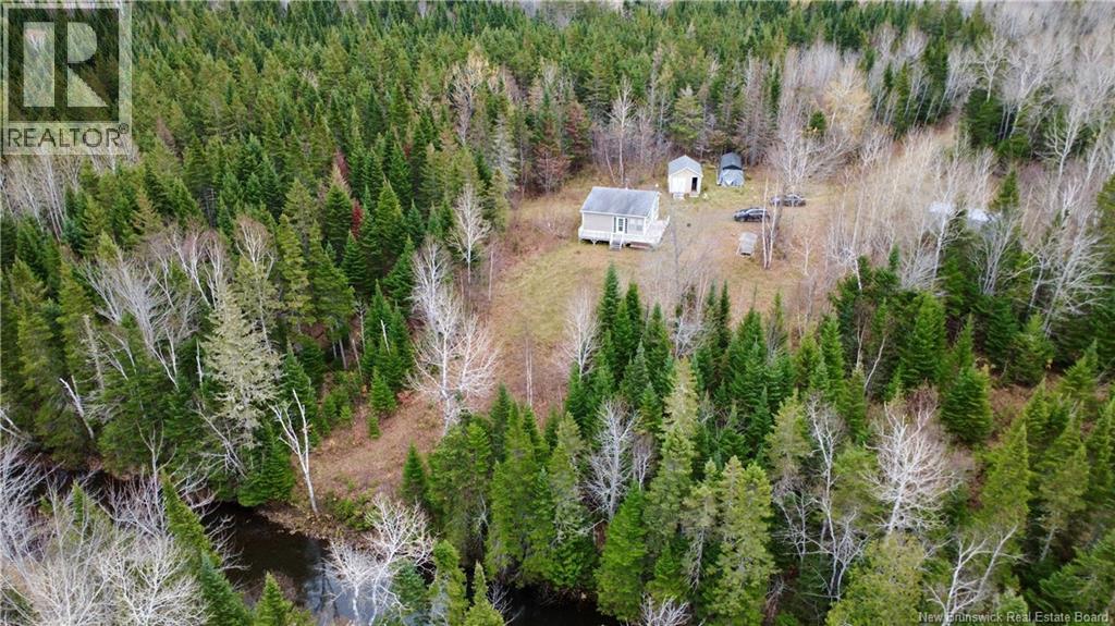 101 Acres Route 355, Bois-Blanc, New Brunswick  E8R 2E1 - Photo 21 - NB150252