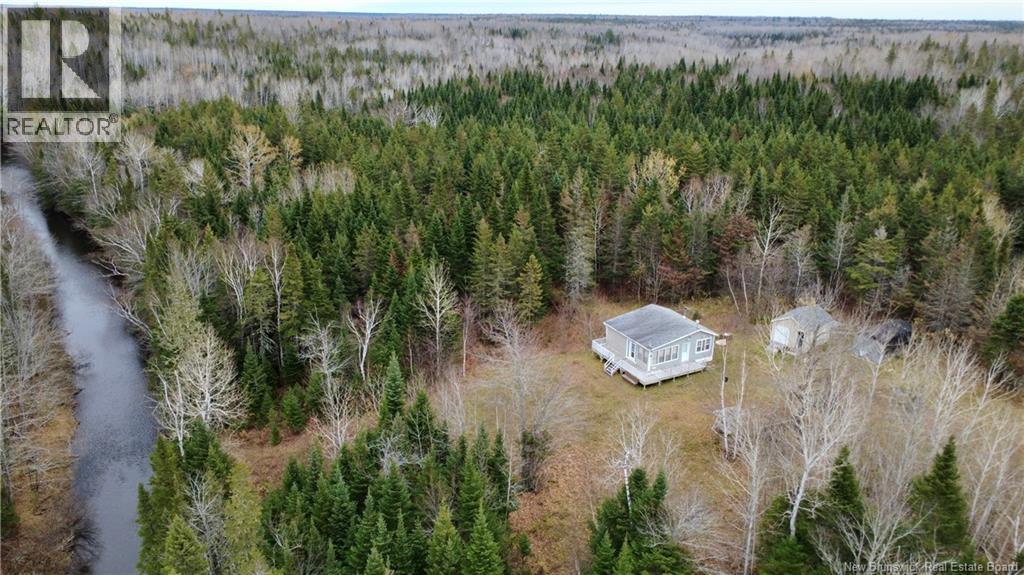 101 Acres Route 355, Bois-Blanc, New Brunswick  E8R 2E1 - Photo 22 - NB150252