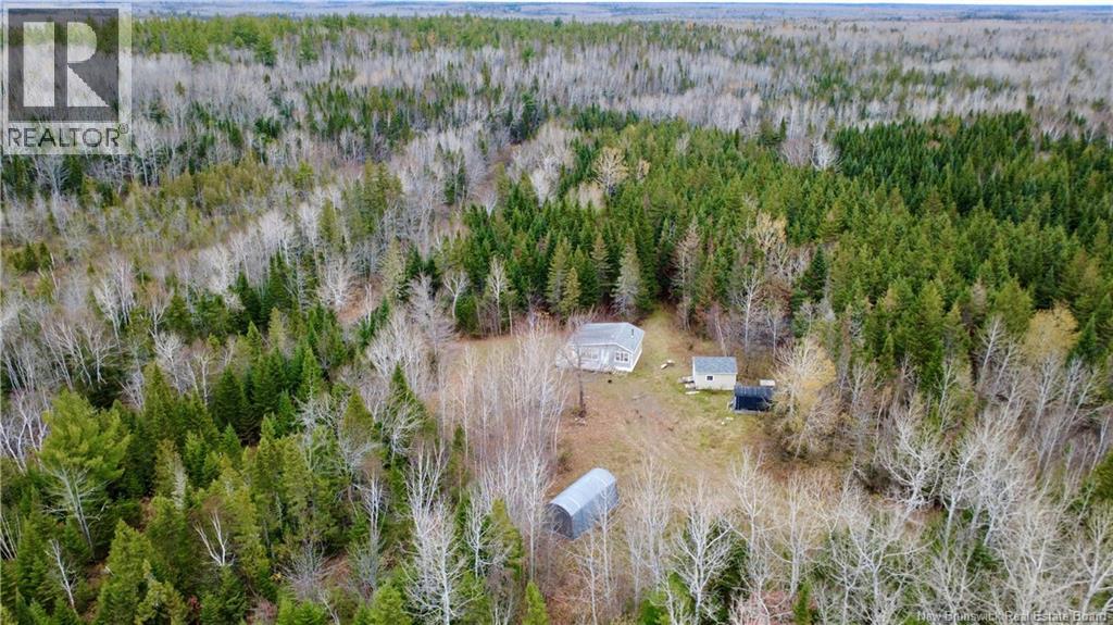 101 Acres Route 355, Bois-Blanc, New Brunswick  E8R 2E1 - Photo 23 - NB150252