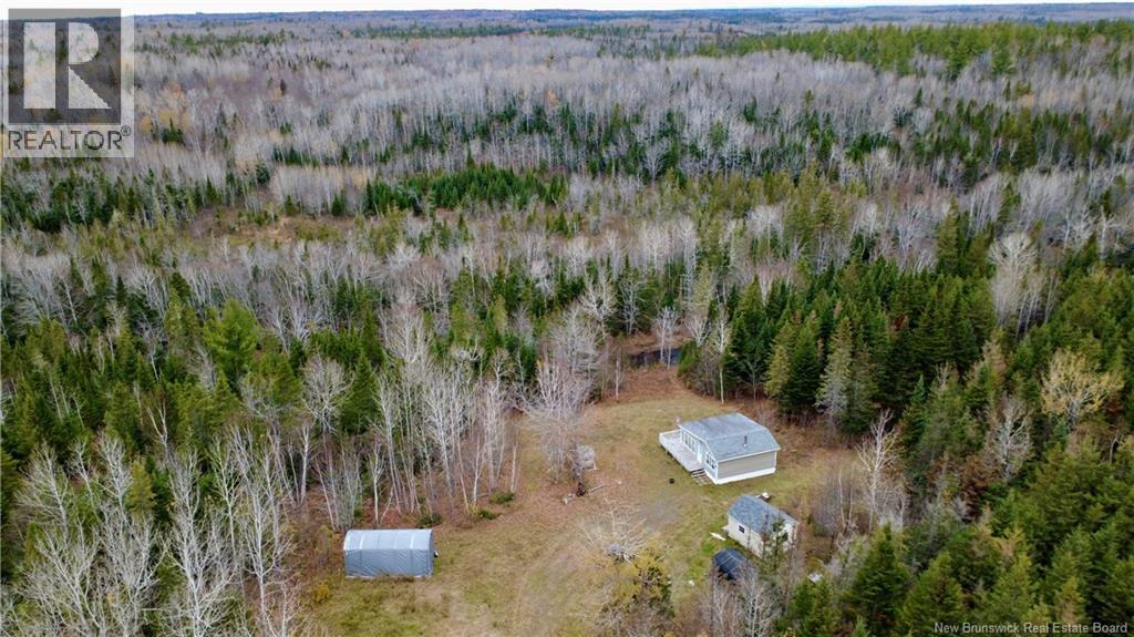 101 Acres Route 355, Bois-Blanc, New Brunswick  E8R 2E1 - Photo 24 - NB150252