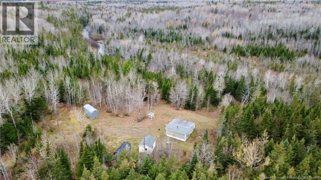 101 Acres Route 355, Bois-Blanc, New Brunswick  E8R 2E1 - Photo 25 - NB150252