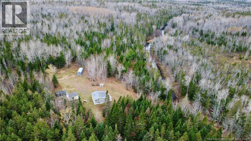 101 Acres Route 355, Bois-Blanc, New Brunswick  E8R 2E1 - Photo 26 - NB150252