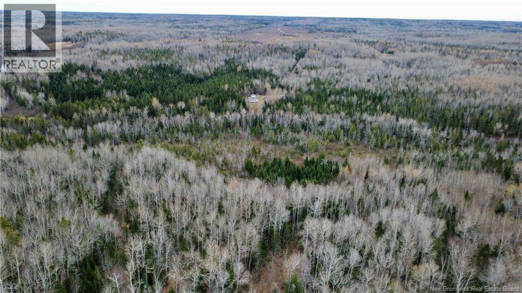 101 Acres Route 355, Bois-Blanc, New Brunswick  E8R 2E1 - Photo 28 - NB150252