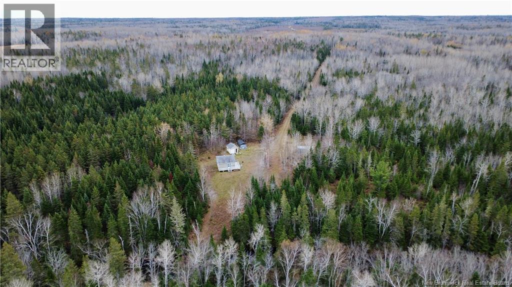 101 Acres Route 355, Bois-Blanc, New Brunswick  E8R 2E1 - Photo 29 - NB150252