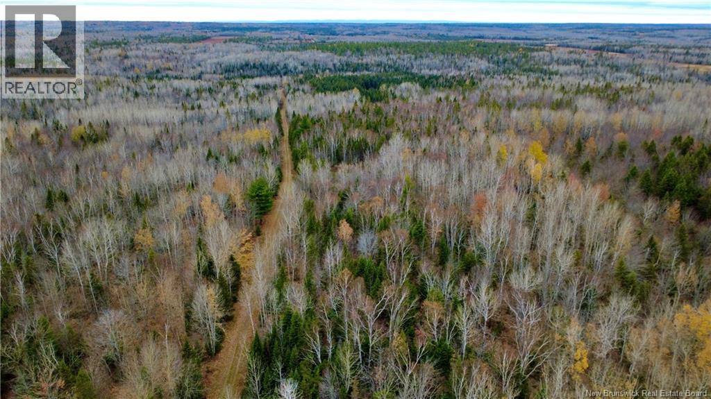 101 Acres Route 355, Bois-Blanc, New Brunswick  E8R 2E1 - Photo 30 - NB150252