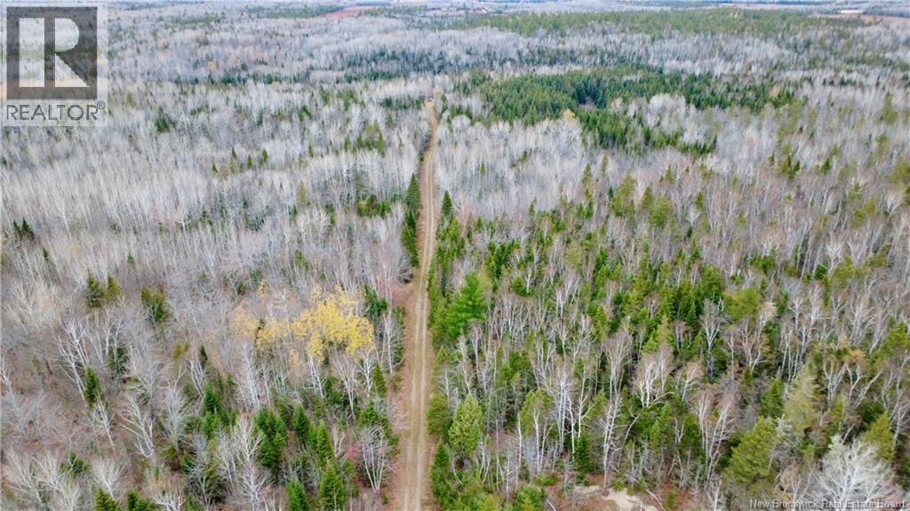 101 Acres Route 355, Bois-Blanc, New Brunswick  E8R 2E1 - Photo 31 - NB150252