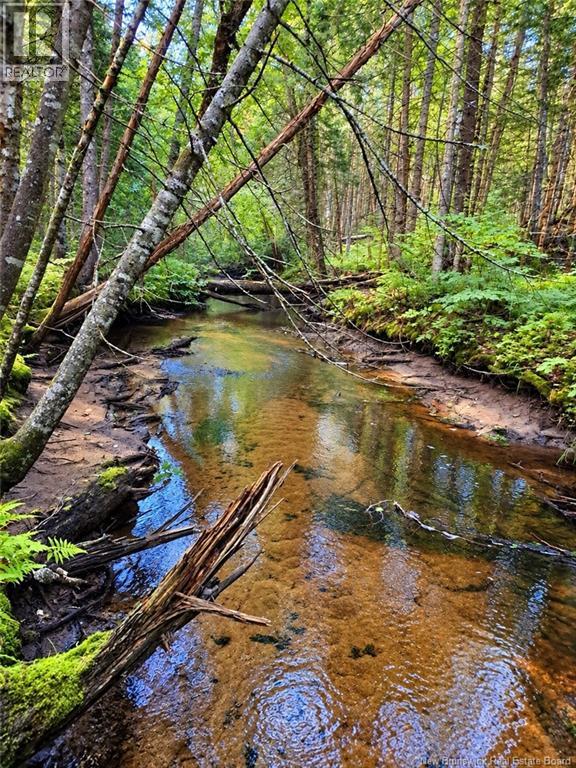 Lot 26-02 Bateman Mill Road, Saint-Philippe, New Brunswick  E1H 1T3 - Photo 12 - NB150326