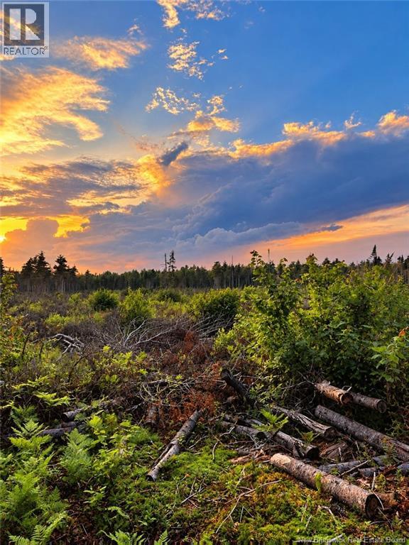 Lot 26-02 Bateman Mill Road, Saint-Philippe, New Brunswick  E1H 1T3 - Photo 3 - NB150326