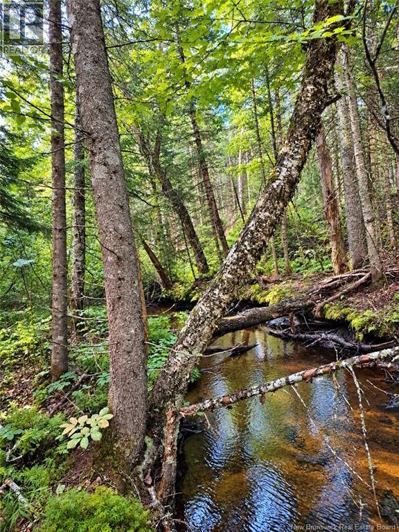 Lot 26-02 Bateman Mill Road, Saint-Philippe, New Brunswick  E1H 1T3 - Photo 6 - NB150326