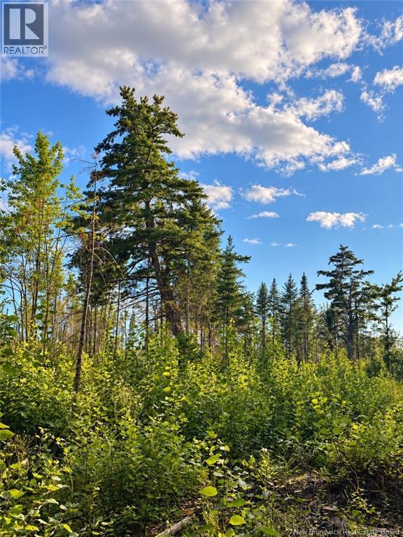 Lot 26-02 Bateman Mill Road, Saint-Philippe, New Brunswick  E1H 1T3 - Photo 8 - NB150326