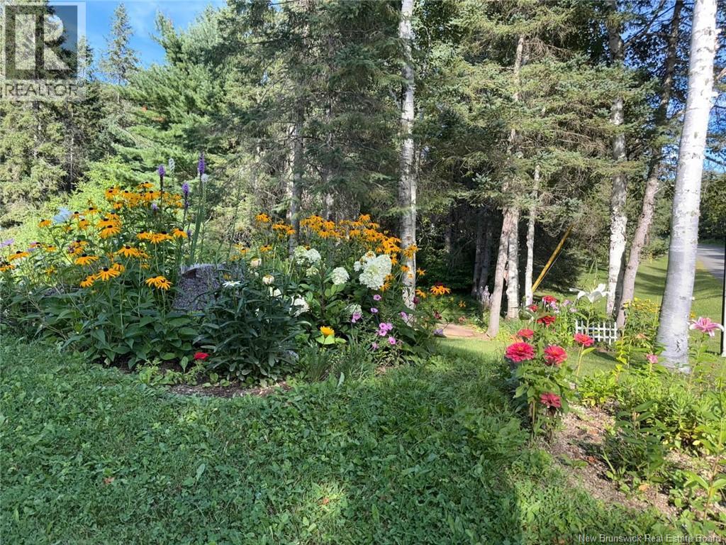 81 Woodland Hill, Perth-Andover, New Brunswick  E7H 5H4 - Photo 48 - NB150420
