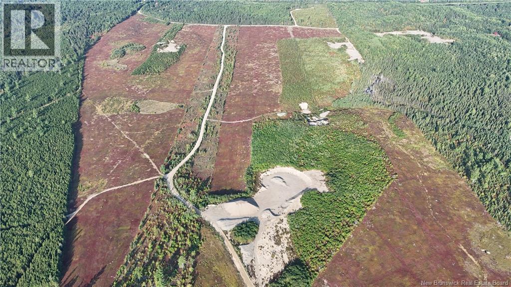 Lot 827 S Cains Road, Cains River, New Brunswick  E9B 1M1 - Photo 2 - NB150390