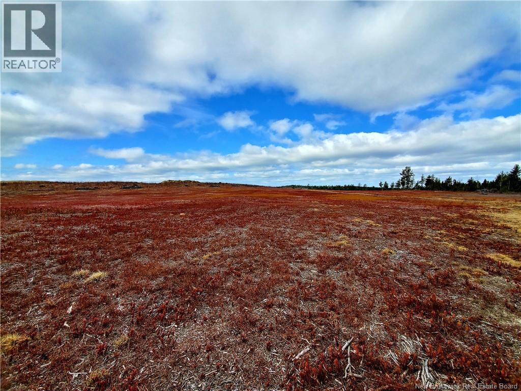 Lot 827 S Cains Road, Cains River, New Brunswick  E9B 1M1 - Photo 3 - NB150390