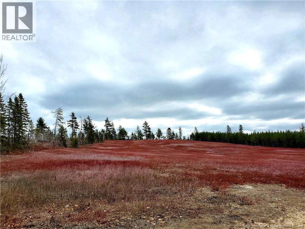 Lot 827 S Cains Road, Cains River, New Brunswick  E9B 1M1 - Photo 4 - NB150390