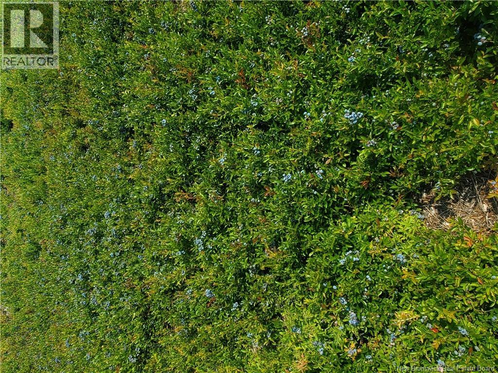 Lot 827 S Cains Road, Cains River, New Brunswick  E9B 1M1 - Photo 6 - NB150390