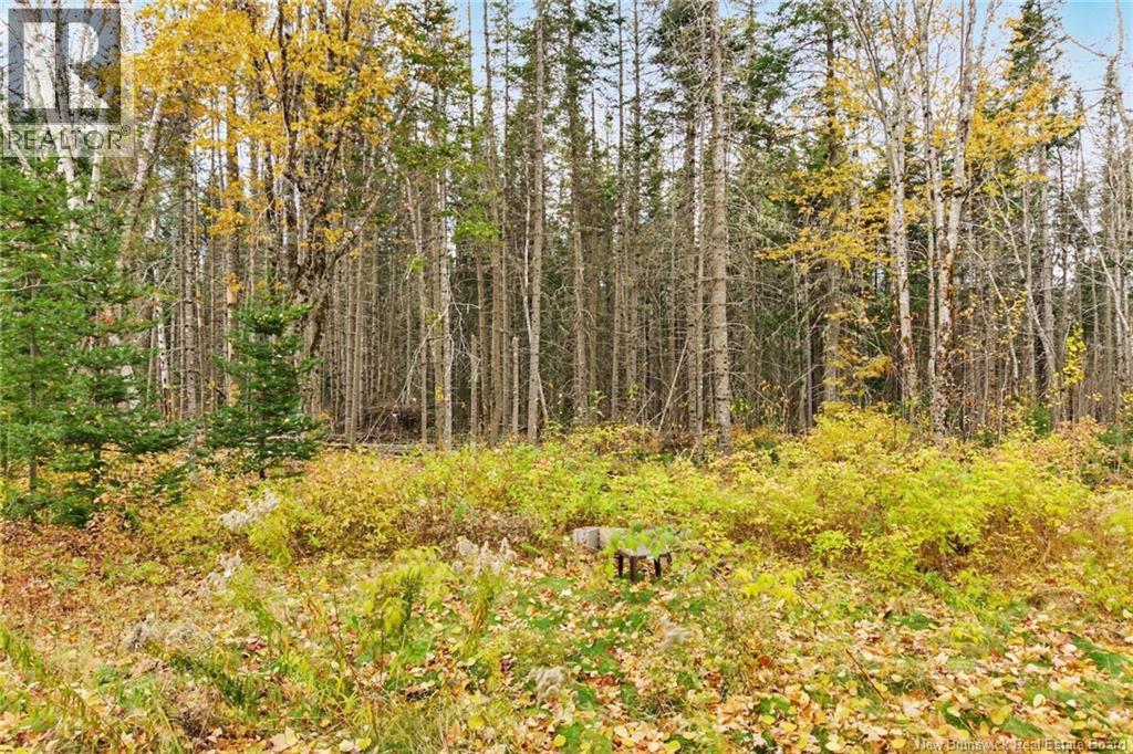578 Bronson Settlement Road, Redbank, New Brunswick  E4A 3M6 - Photo 39 - NB150294