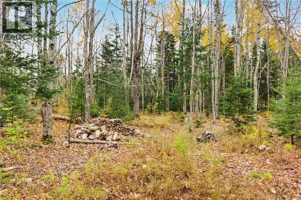 578 Bronson Settlement Road, Redbank, New Brunswick  E4A 3M6 - Photo 41 - NB150294