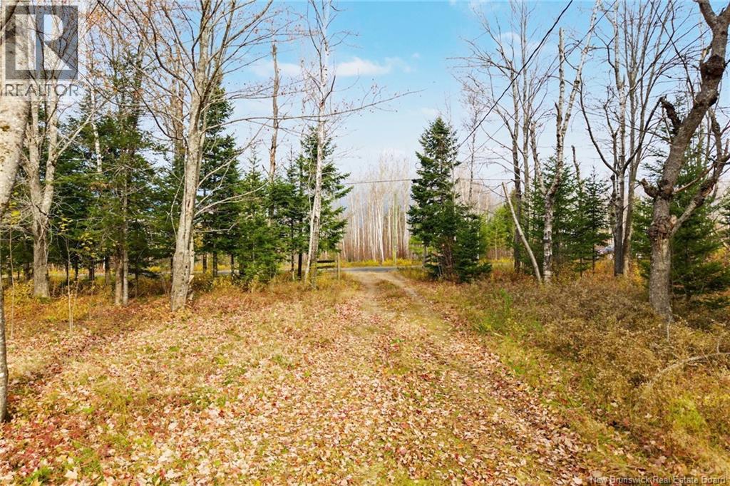 578 Bronson Settlement Road, Redbank, New Brunswick  E4A 3M6 - Photo 6 - NB150294