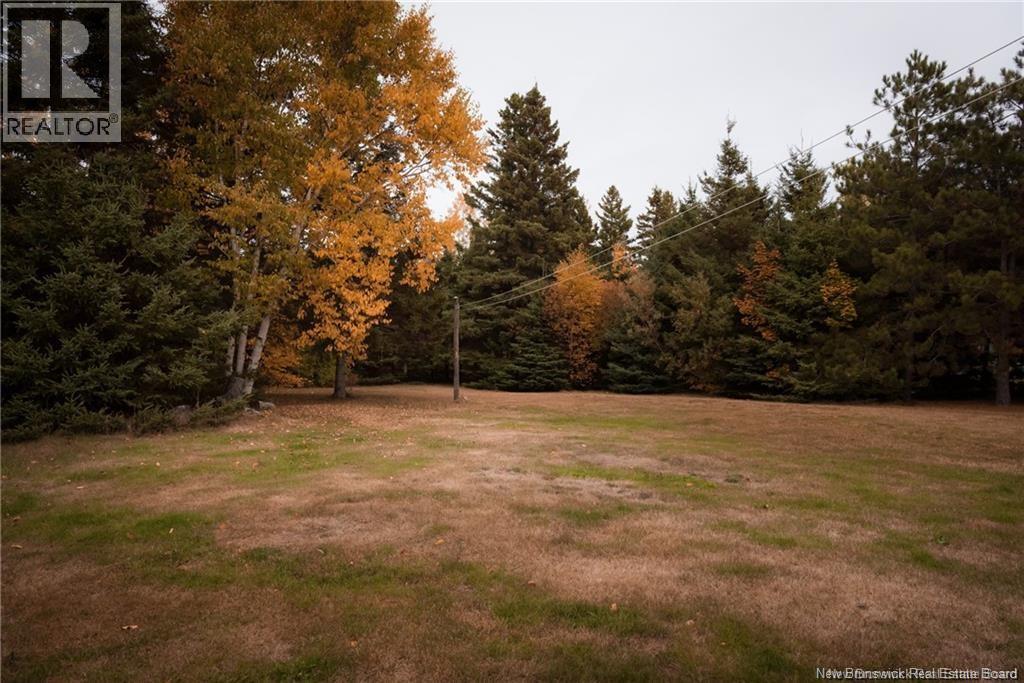 8171 Route 313, Sainte-Cécile, New Brunswick  E8T 1W6 - Photo 24 - NB150566
